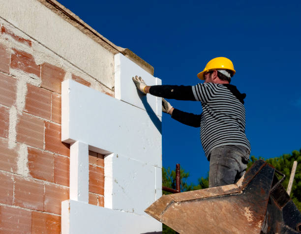 Best Insulation Maintenance and Repair in Wildwood, FL