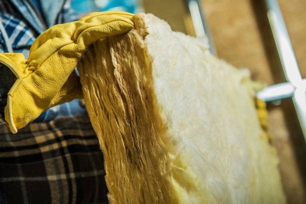 Best Insulation Installation Services in Wildwood, FL