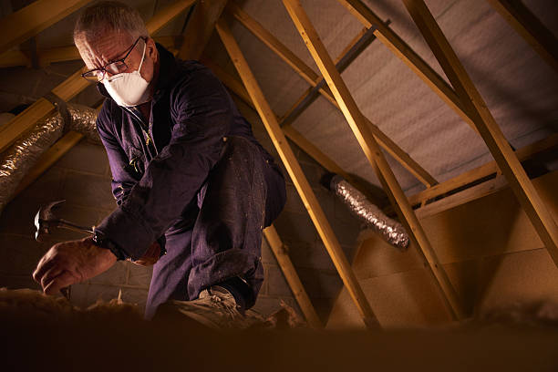 Best Residential Insulation in Wildwood, FL